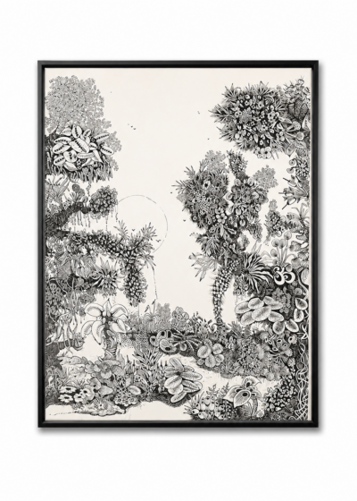 Fleuriance